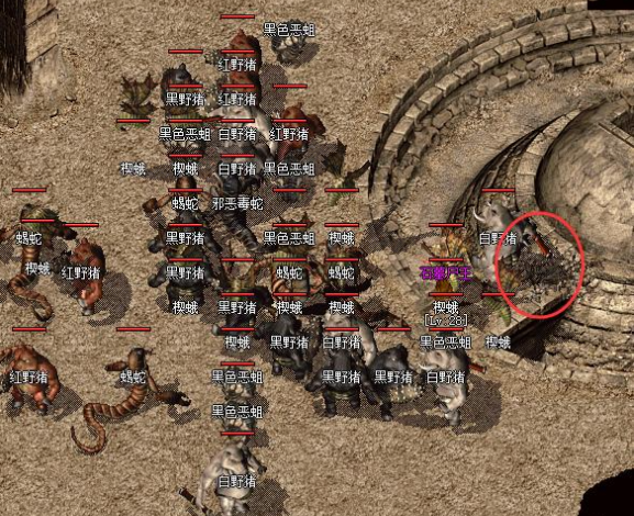 优先将金币用于晋级技能如战士的‘半月